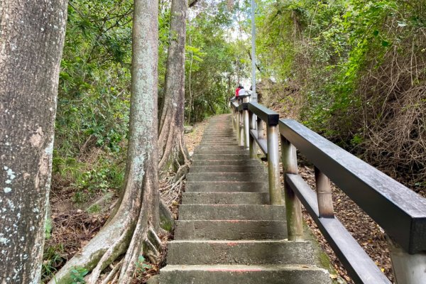 鯉魚山步道1797752