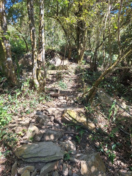 日湯真山202601042978582