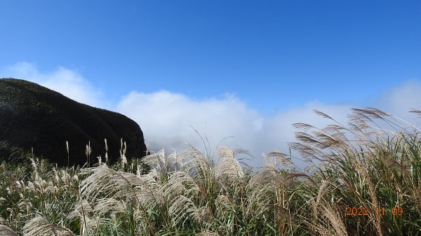 觀音圈+夕陽+芒花+雲霧飄渺+雲層帶狂風大作弱不禁風1904979