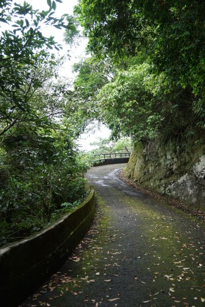 六寮古道&獅山古道O形環走319325