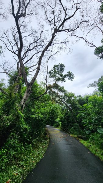 【南投民間】松柏嶺步道連走松柏坑山2601696