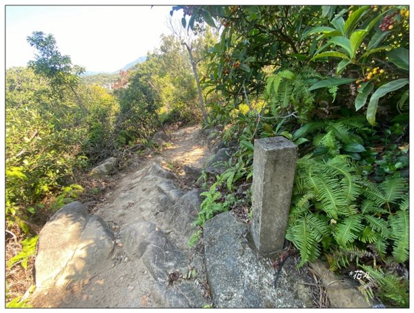 烏尖連峰縱走18基石 ( 唭哩岸山、軍艦岩、丹鳳山 )2980909