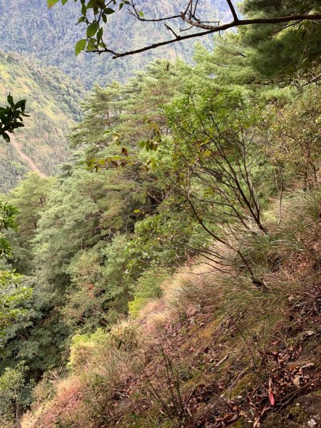 210林道騎行順登山椒山、烏石坑山  2022.10.231912674