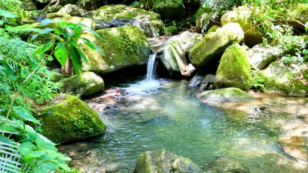 雙溪下坑古道2859472