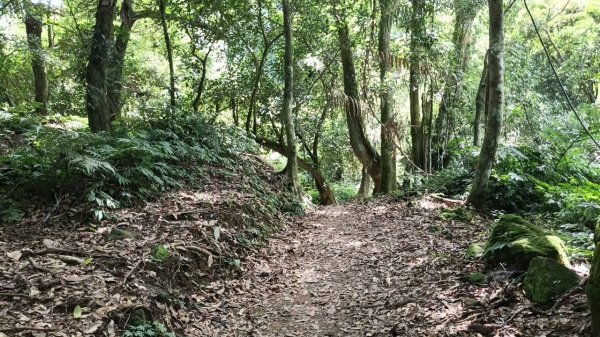 20251004 馬那邦山 - 珠湖 登山口2904938