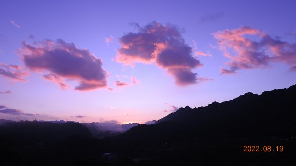 貢寮巡田水 - 桃源谷步道草嶺線來回走+十分日出+雙溪上林蓮花池  #芋葉括樓 #青眼蛺蝶1811704