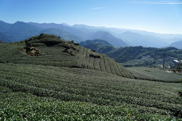 二延平山、隙頂山802432