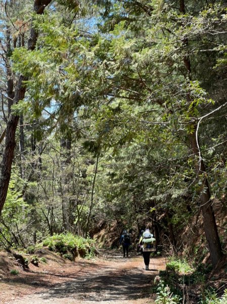 楠梓仙溪上南玉山1373095