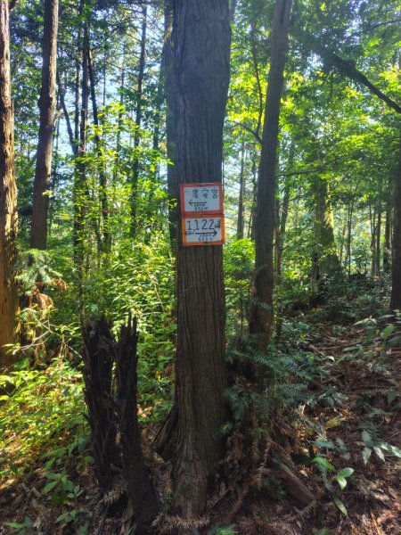 能高瀑布 慶安宮 頂猴洞山 猴頂洞山南峰 福興山2883715