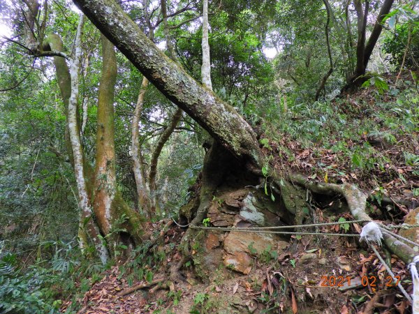 南投 埔里 舊武界越山、板仔寮山1286591