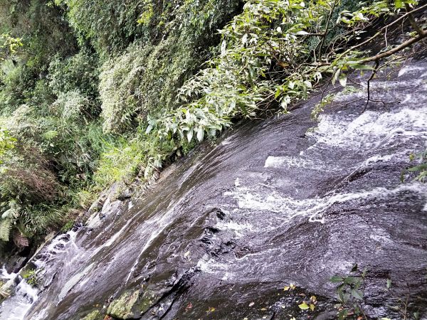 五峰旗瀑布步道353331