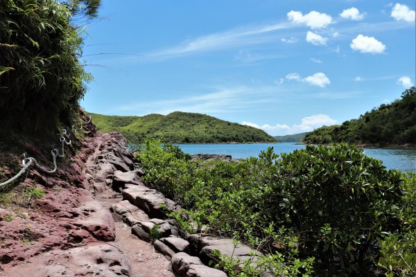 HK - 牛屎湖1046159