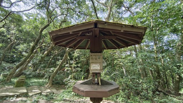 (姨婆趴趴走)第五十五集:攀登健走台北大崙頭尾山親山步道環狀一圈2853724