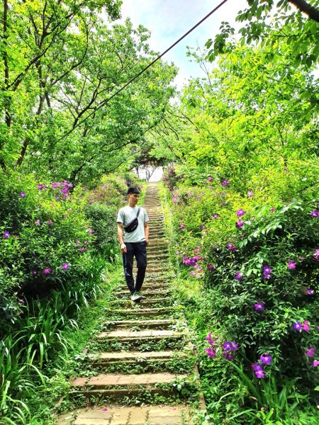 土城太極嶺，五城山，將軍嶺，文筆山，鶯歌石，牛灶坑山，龜公山，孫龍步道，二鬮山1654097