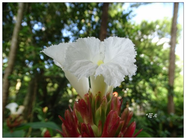 台北/植物園步道686765