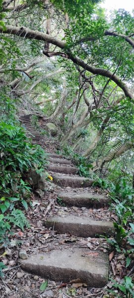 天母古道-翠峰.半嶺.松溪瀑布-紗帽山2655476