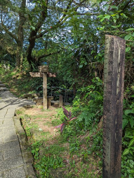 2023-08-26 臺北大縱走第六段2792737