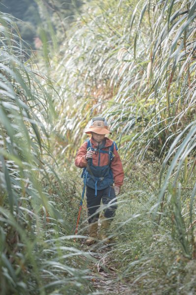 探訪台北溪流之美｜桶後越嶺古道（礁溪-烏來）2911745