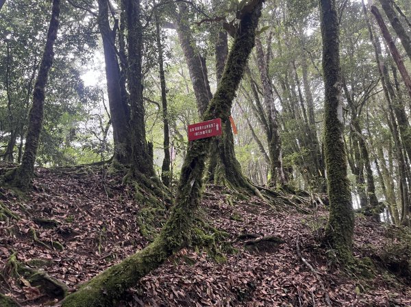 2025_0622 霞喀羅大山2819220