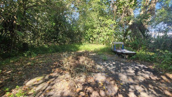 20251003高麗坑山-新高麗坑山-高麗坑山西北峰2903122