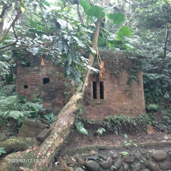 齋明寺古道2839504