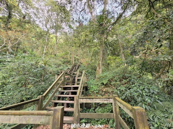 【南投鹿谷】溪頭天文台登山步道封面