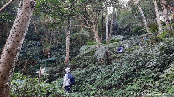 《桃園》一等郊山｜石門山登山步道O繞202401062397572