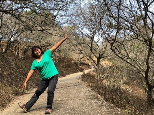 驚驚車程的九份二山之賞梅趣503687