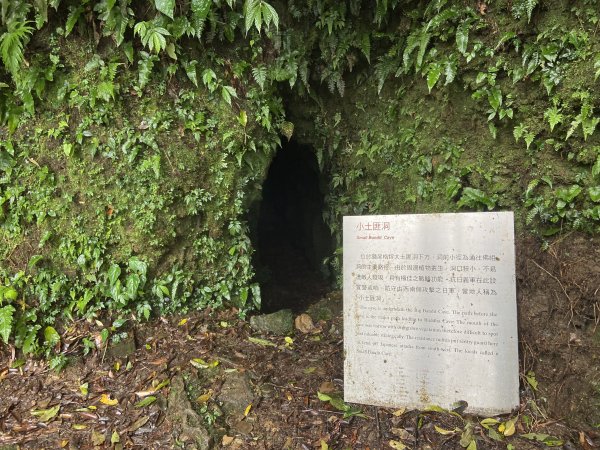 尋覓雨霧中的獅子|獅仔頭山|Mt.Shizaitou|隘勇線|峯花雪月2385005