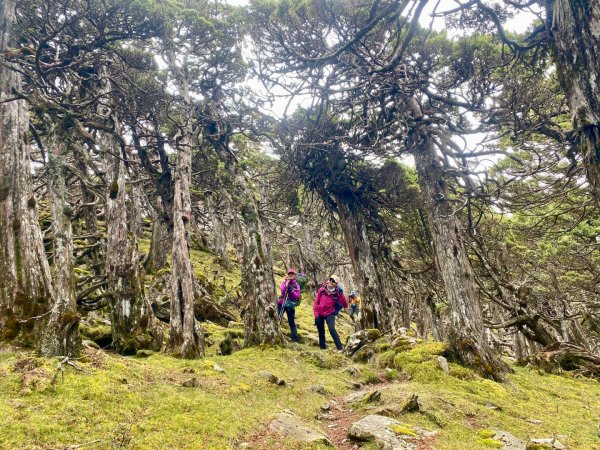 啟動高山度假模式~金牌三小隊之馬博橫斷8日2964941
