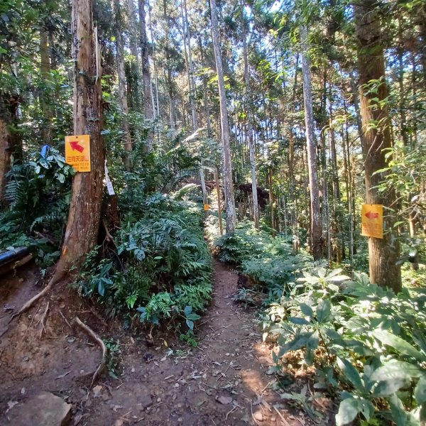 【苗栗南庄】向天湖山光天高山小O繞2933146