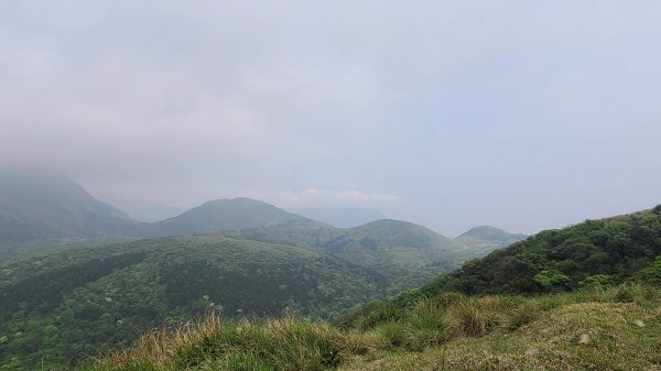 2021-0330 擎天崗(竹篙山)狗殷勤步道到故宮1327925