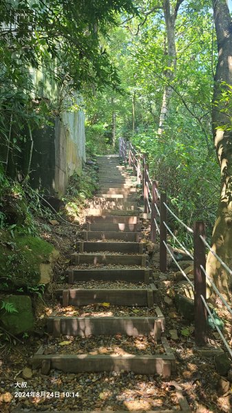 2024-0824 烘爐地登山步道(柴埕路60巷登山口來回)2579507