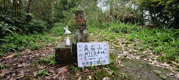 2026/07/07 凌空廊道↔️尖石山3085238
