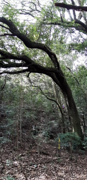 白姑大山之旅743412