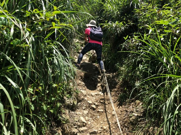 療癒系抹茶山，小百岳三角崙山，五峰旗瀑布1029901