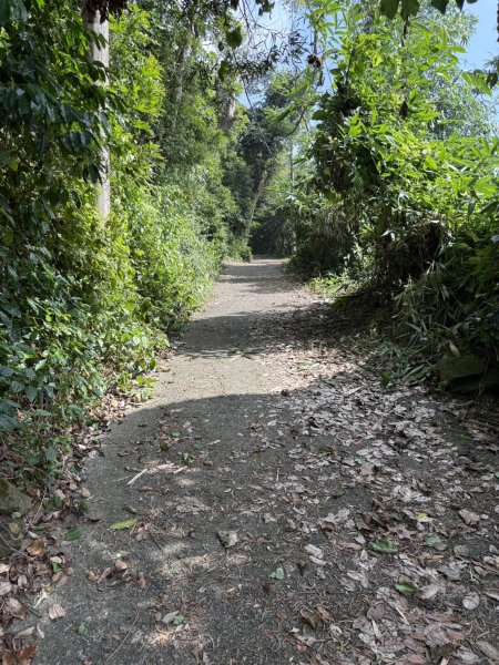 20251018台南 崁馬鞍部啟登崁頭山2920726