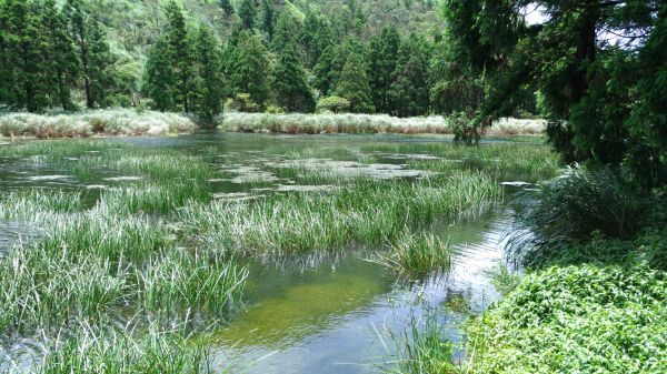 醉在.......如夢似幻138170