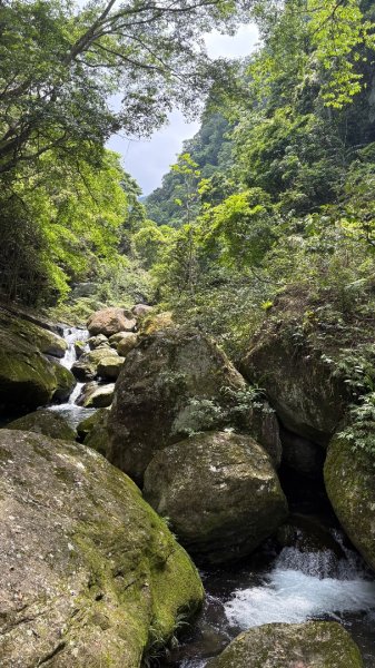 戲水（鴛鴦2786677