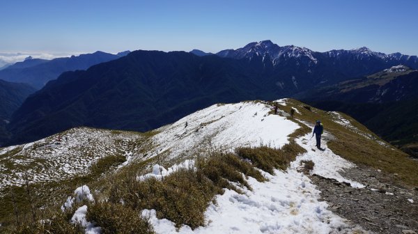 合歡山北峰510395