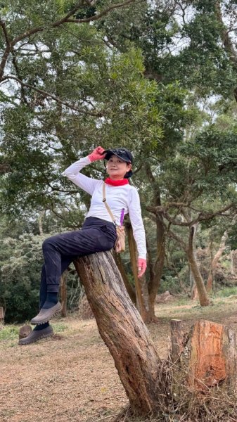 20260127三通嶺山.三義山(大桁茂山).慈濟山.大坪山大O走2990023