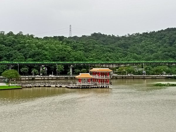 大湖公園 (防災公園) - “就是愛尋寶”【走路趣尋寶，全臺齊步走】1883414