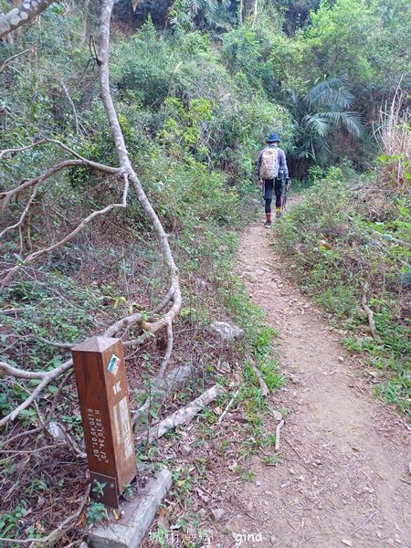 【屏東獅子鄉】海天一色。 台灣百大必訪步道~里龍山自然步道2550727