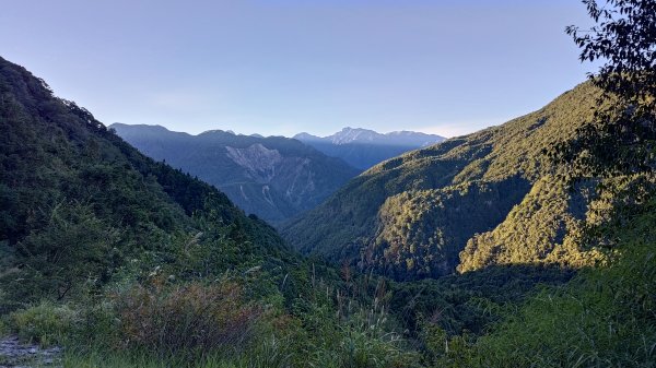 大霸群峰登山步道(大鹿林道線)2911387