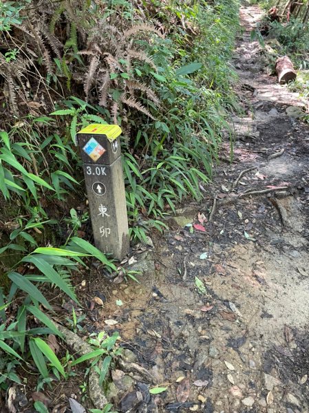 東卯山1750899