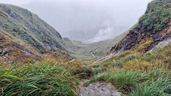 20251019 苗圃-七星山-小油坑2921129