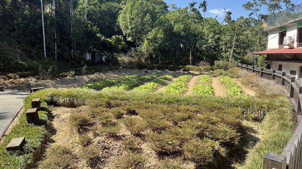 2025/10/15 台北大縱走第7段2916506