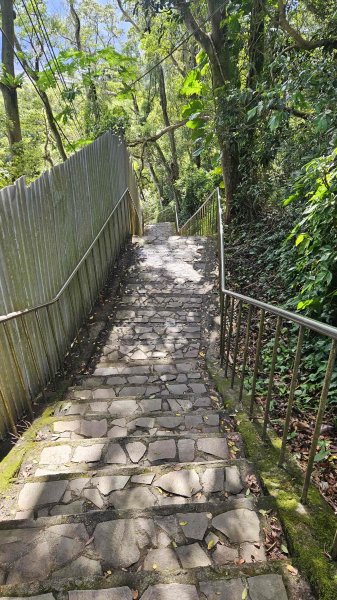 20251229龍潭大池自行車道-三林自行車道-名人棒球堂飯店-石門大草坪-林埤古道-石門水庫2974594