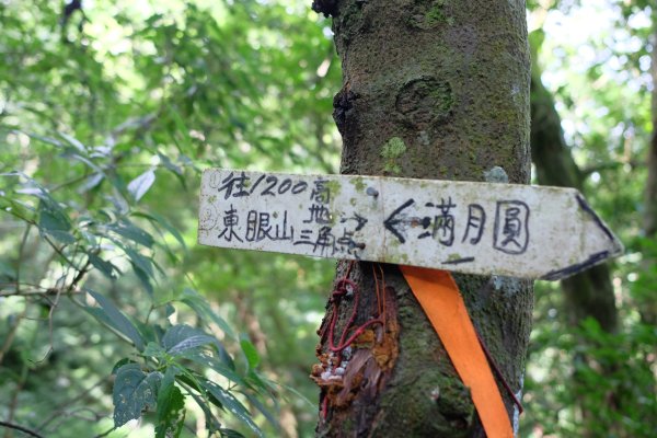 桃園復興區  東卡O縱2823822