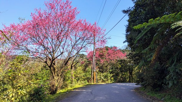 汐止環山封面